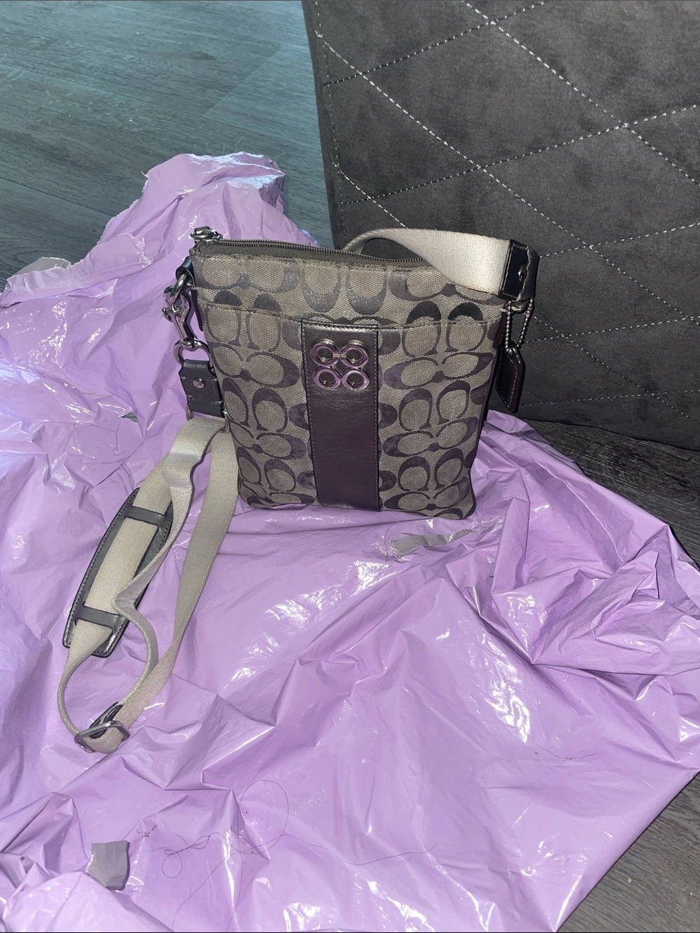 Coach Canvas Crossbody in Gray Metallic Signature C’s w/Leather Trim